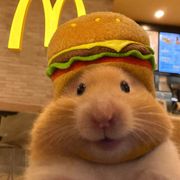 偷吃麦当劳汉堡