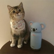 𝓌.老鼠的麻麻