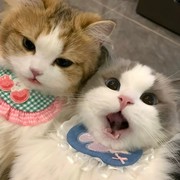 ℳ̶̶̶̶♡̶҉ɪ♪ℳᥫᩣ