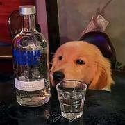 只沾花不惹草（戒充）