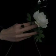 再打相遇乐章  断子，